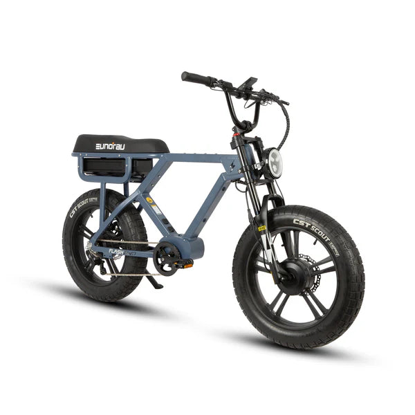 Fat Tyre Electric Bike