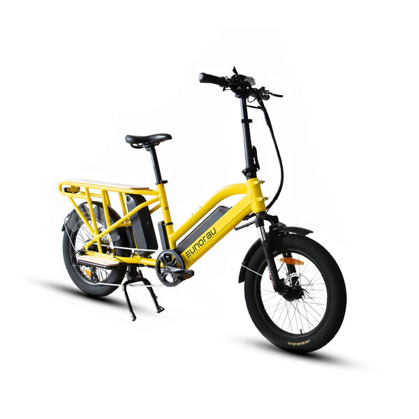 Electric Cargo Bike