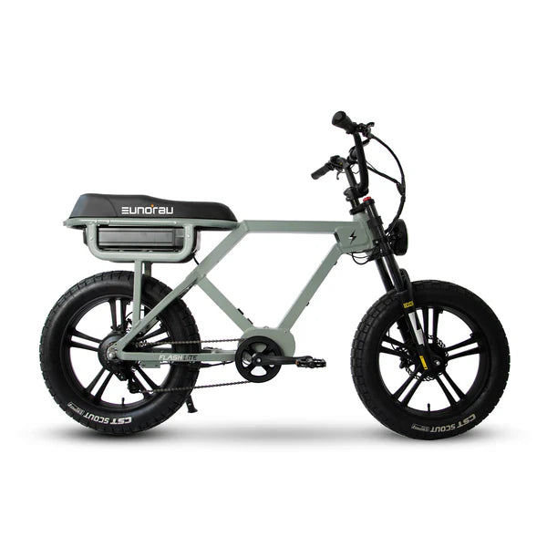 Eunorau Flash Fat Electric Bike E-Bike