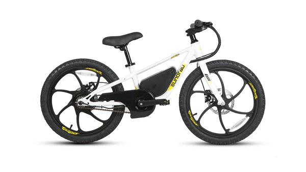 Eunorau EKIDS-20 2024 Kids Electric Bikes