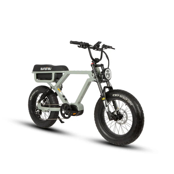 Eunorau Flash Fat Electric Bike E-Bike