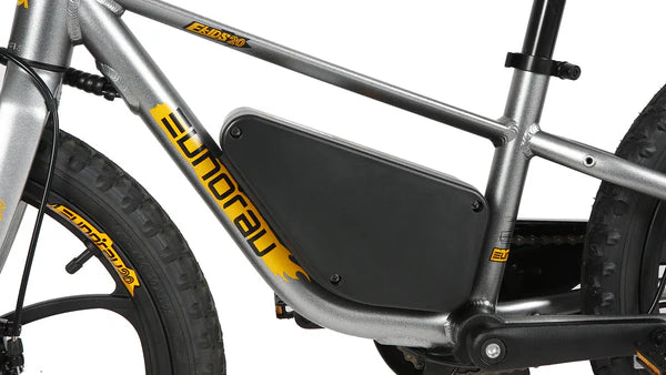 Eunorau EKIDS-20 2024 Kids Electric Bikes