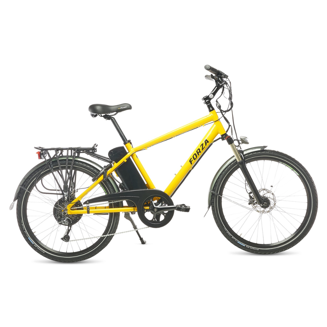 Ryder Ezee Forza Electric Mountain Bike