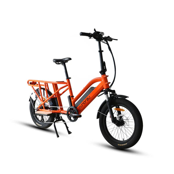 Eunorau G30-Cargo Electric Cargo Bike E-Bike