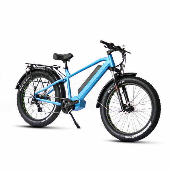 Eunorau FAT-HD Electric Bike